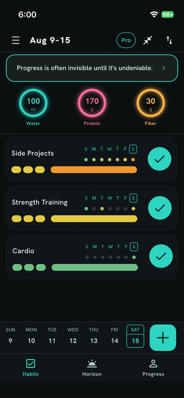The week view in Try Easier: daily targets for water, protein and fiber, and weekly progress on Side Projects, Strength Training and Cardio.